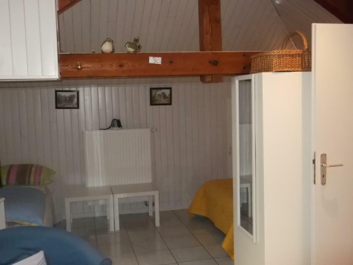Eguisheim Village Prefere Des Francais Grand Studio エクステリア 写真